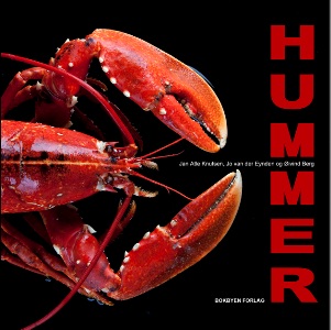 Hummer